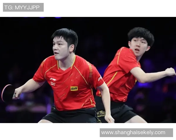 樊振东与王楚钦激烈对抗精彩瞬间引发全运会观众热烈反响